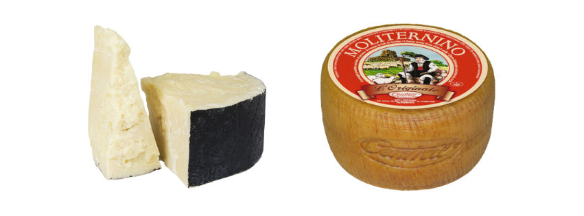 Close-up of Pecorino Romano cheese wheel with texture