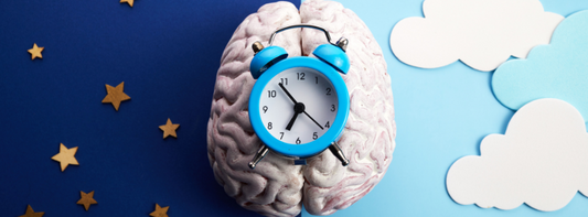 How Your Brain’s Circadian Rhythm Affects Focus, Energy and Creativity