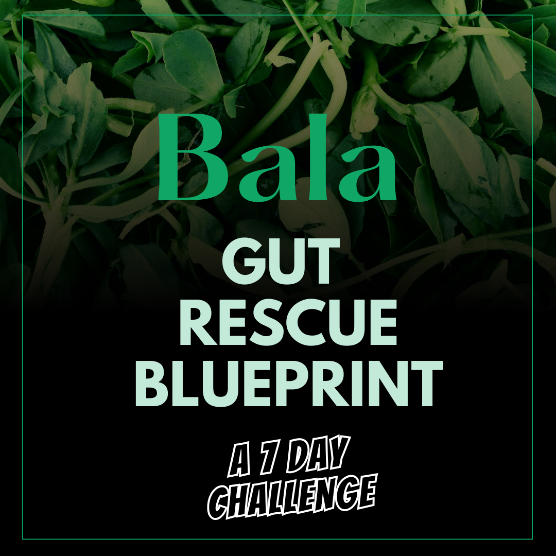 Gut Rescue Blueprint