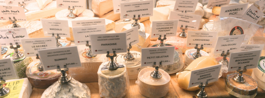A selection of nutrient-dense cheese that supports gut and muscle health