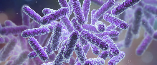 Healthy gut illustration showing microbiome diversity